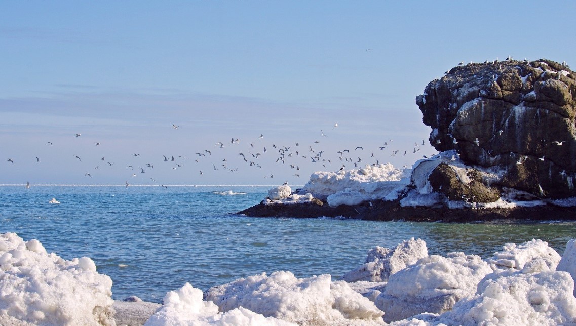 Цікаві факти про Берингове море