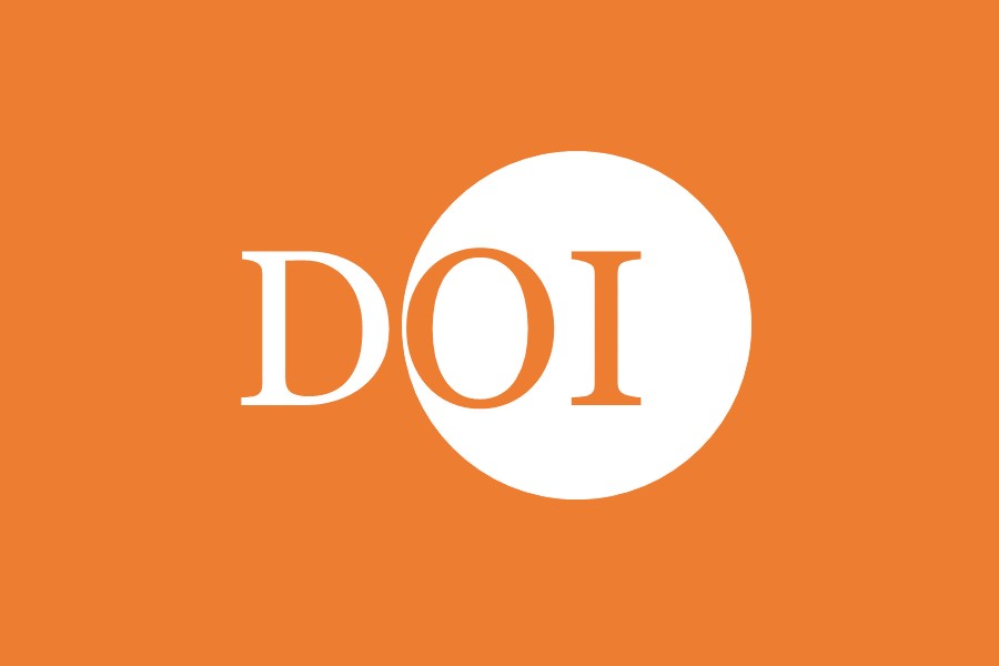 Что такое doi