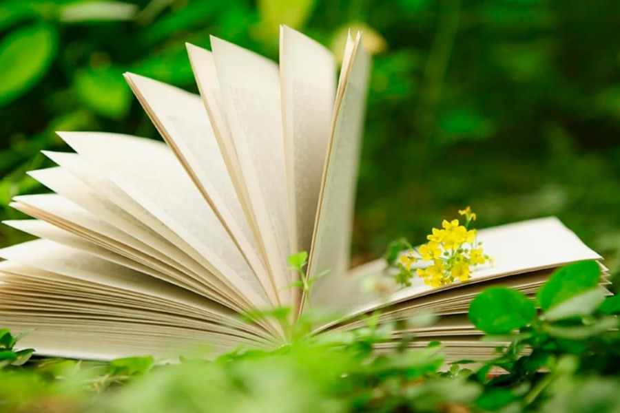 Что такое зеленая книга украины