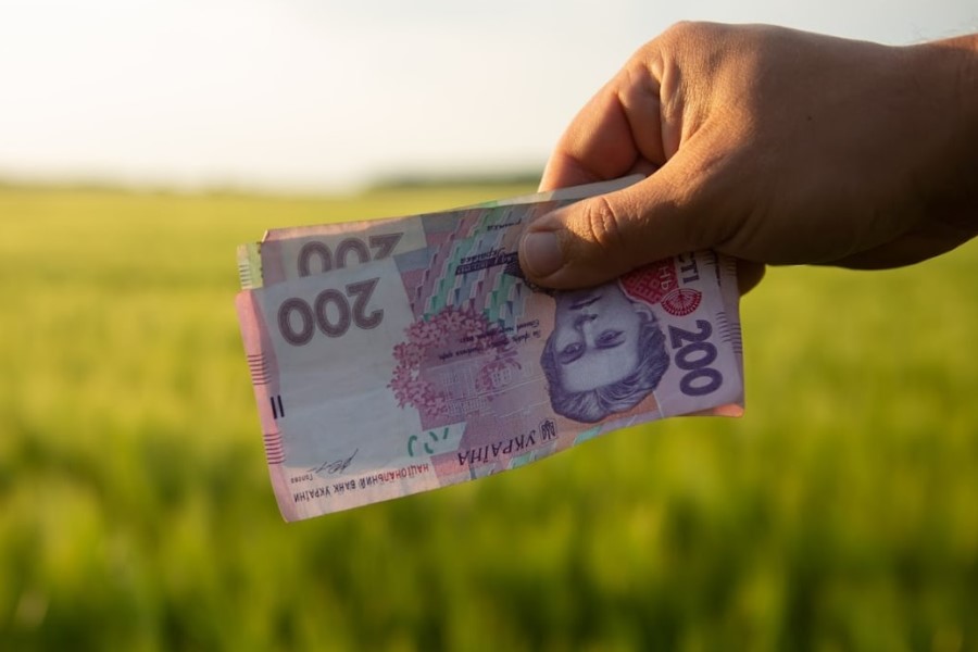 Как заработать деньги дома в селе